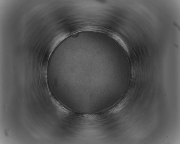 X0000092050954200709121210