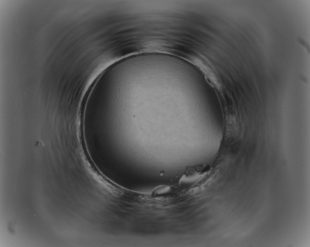 X0000092050955200709121210