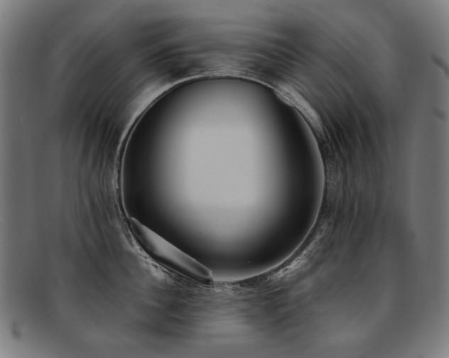 X0000092050956200709121210