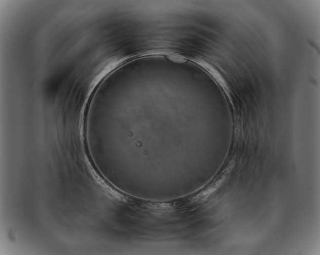 X0000092050957200709121210