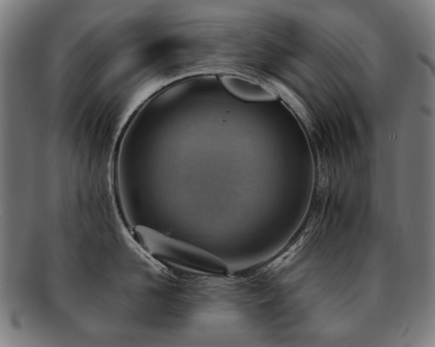 X0000092050958200709121210