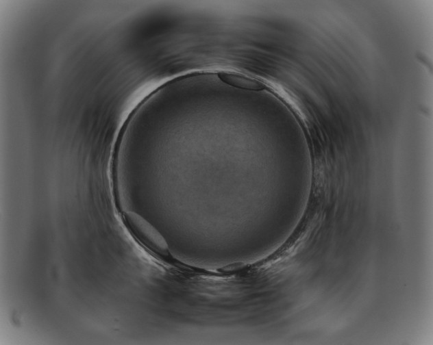 X0000092050959200709121210