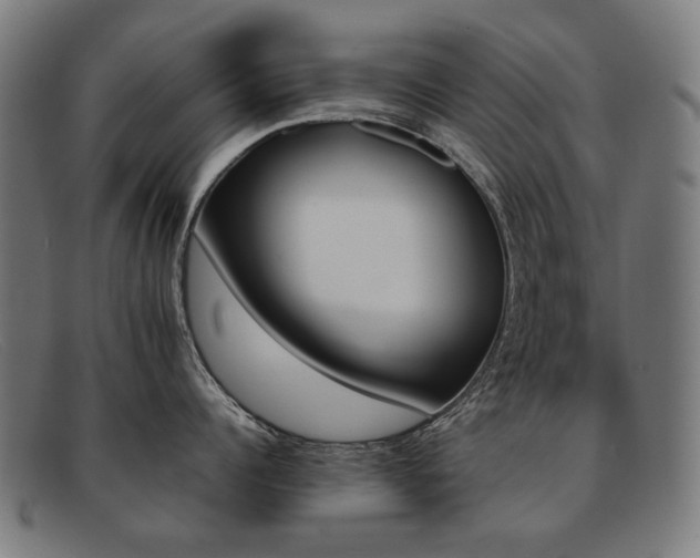 X0000092050960200709121210