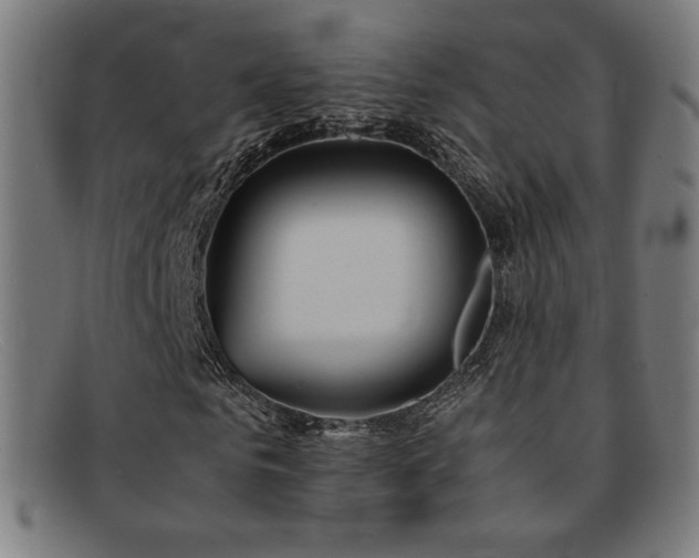 X0000092050961200709121209