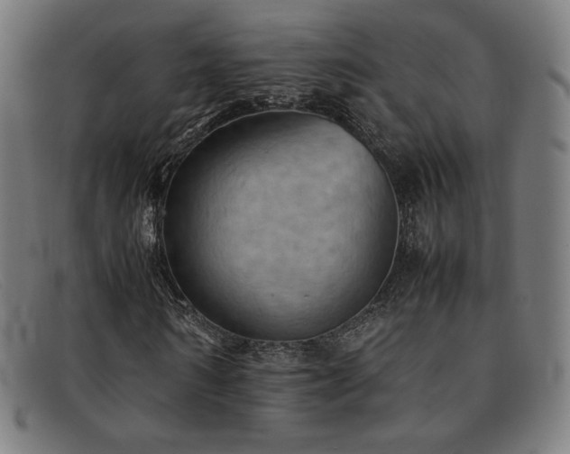 X0000092050962200709121209