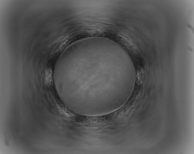 X0000092050963200709121209