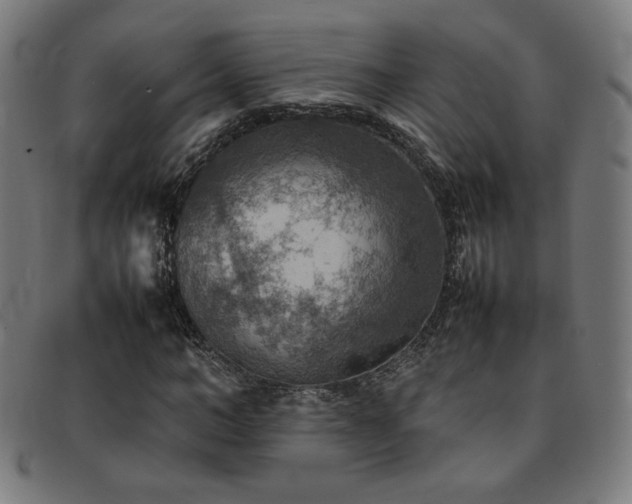 X0000092050966200709121209