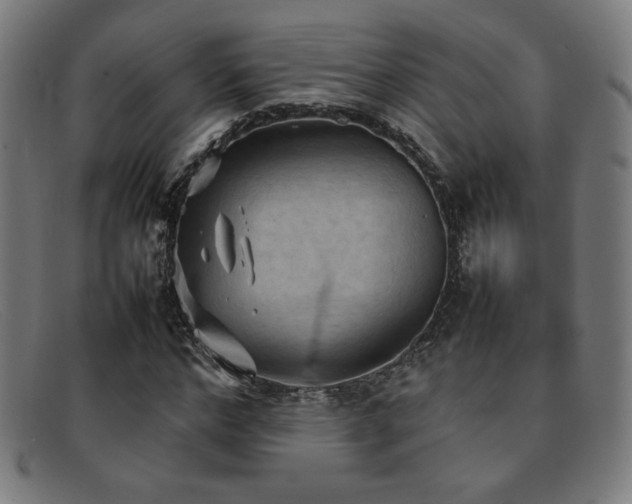 X0000092050968200709121209