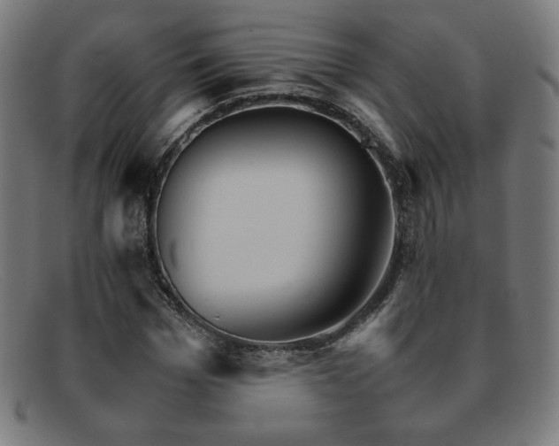 X0000092050969200709121209