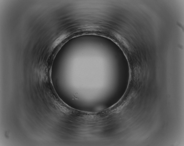 X0000092050970200709121209