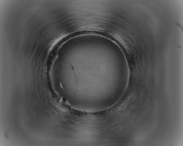 X0000092050971200709121209