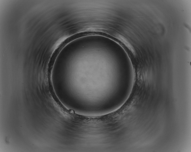 X0000092050972200709121209