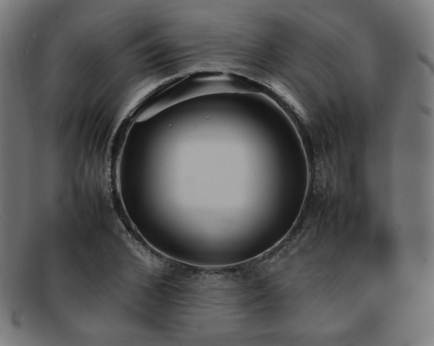 X0000092050976200709121209