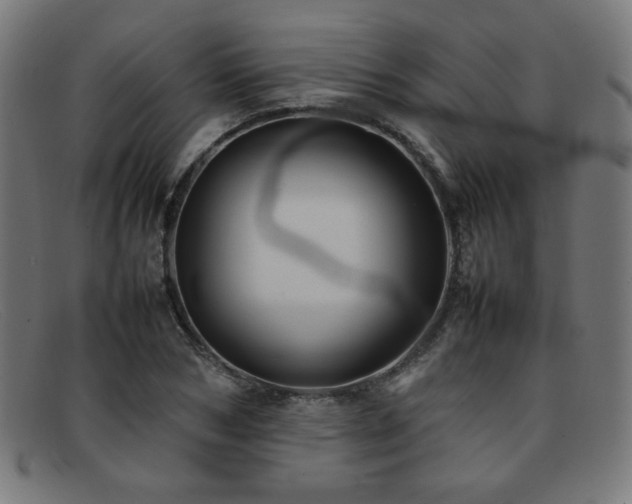 X0000092050978200709121209