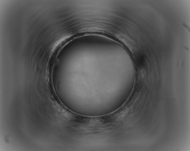 X0000092050979200709121209