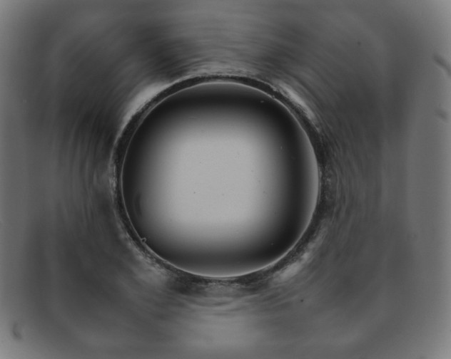 X0000092050981200709121209