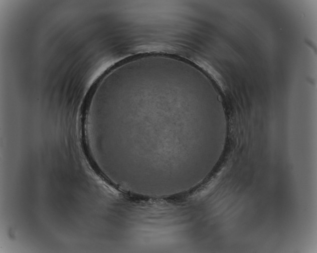 X0000092050983200709121209