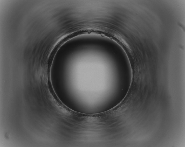 X0000092050984200709121209