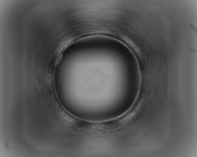 X0000092050985200709121209