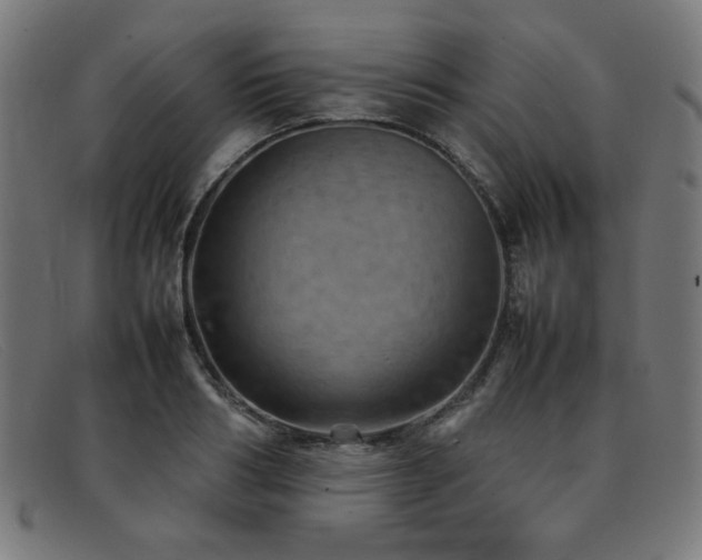 X0000092050986200709121209