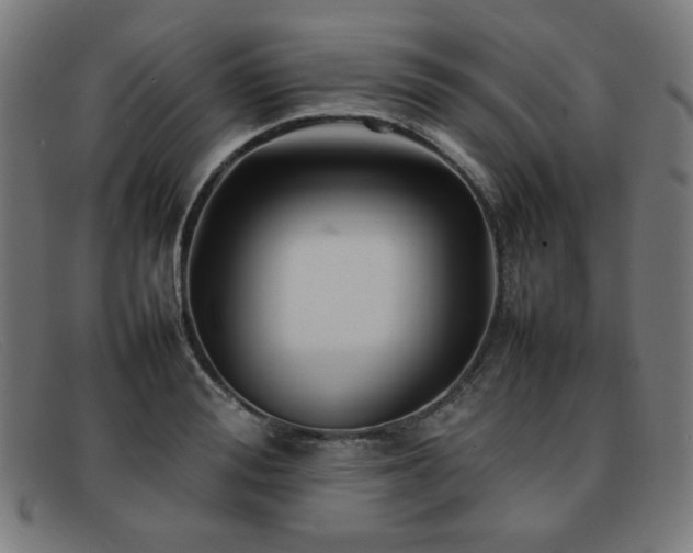 X0000092050988200709121209