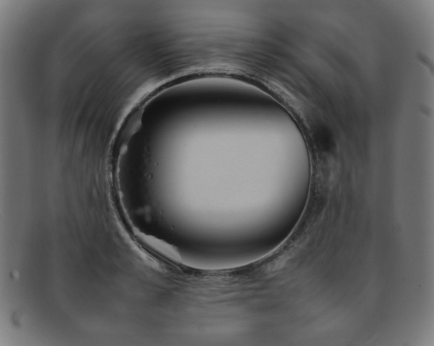 X0000092050989200709121209