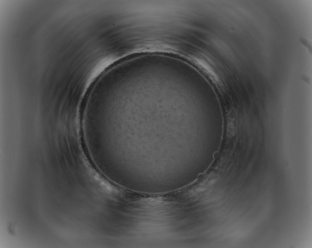 X0000092050990200709121209