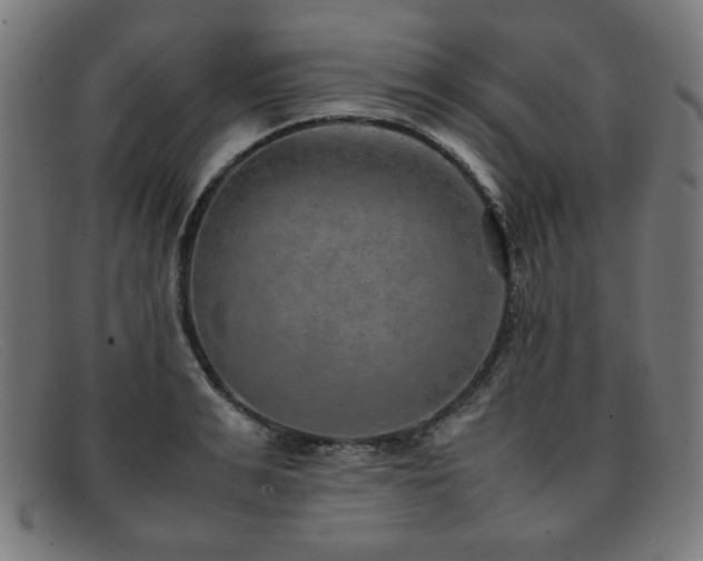 X0000092050991200709121209