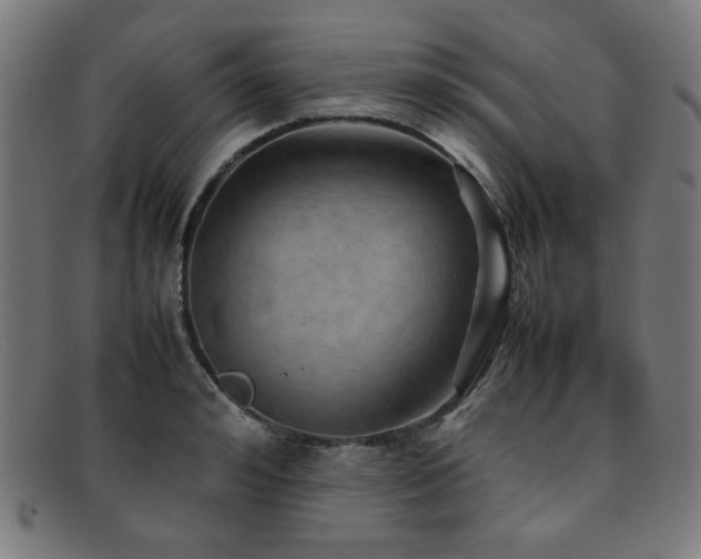 X0000092050992200709121209