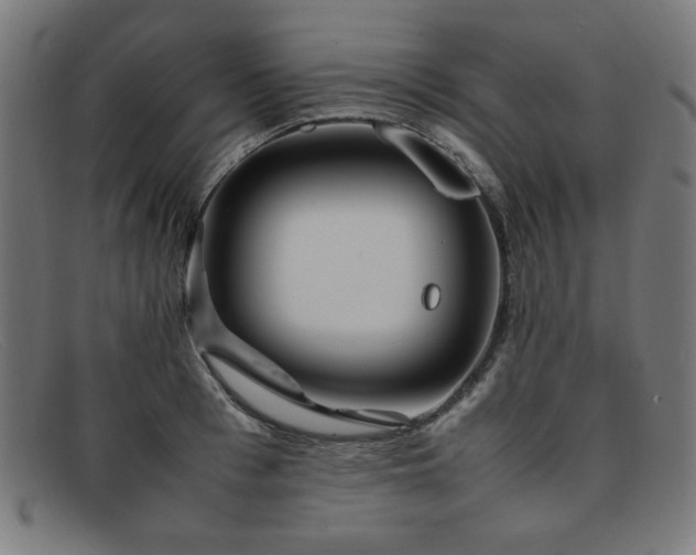 X0000092050993200709121209