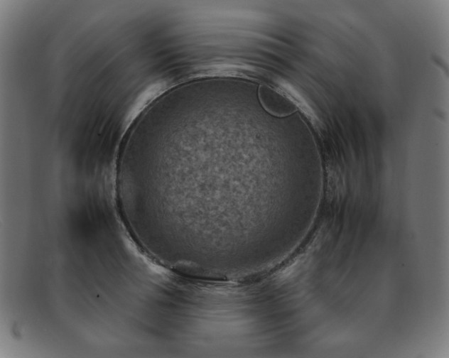 X0000092050994200709121209