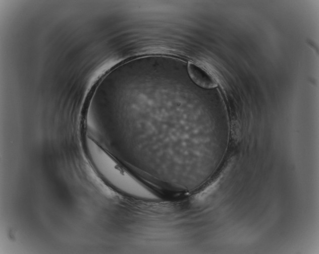 X0000092050995200709121209