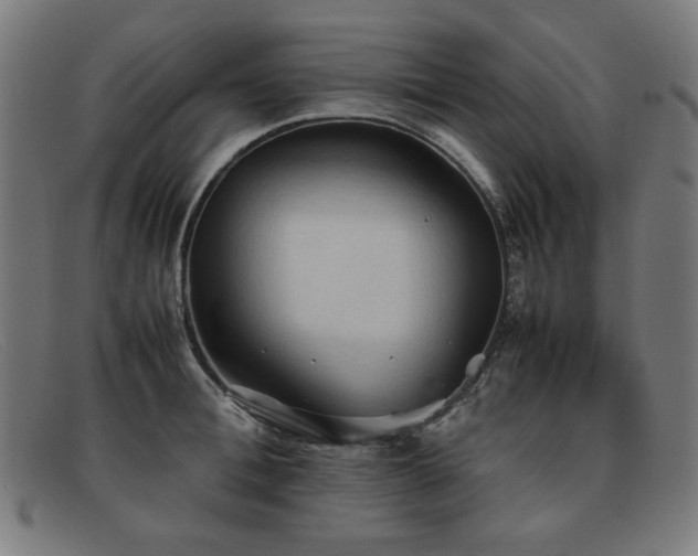 X0000092050996200709121209