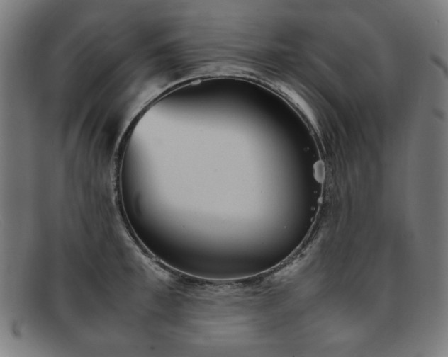 X0000092050997200709121209