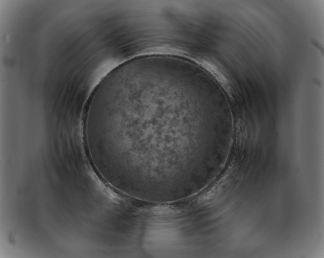 X0000092050998200709121209