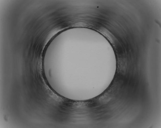 X0000092051000200709121209