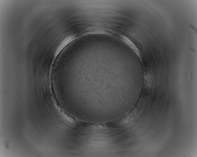 X0000092051002200709121209