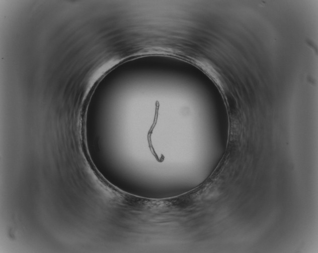 X0000092051003200709121209