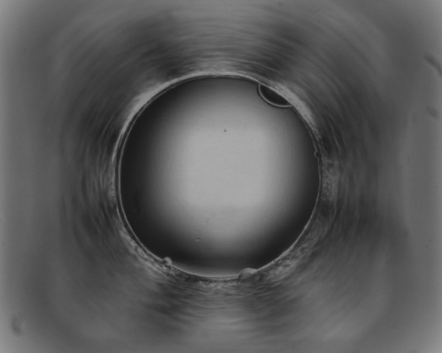 X0000092051004200709121209