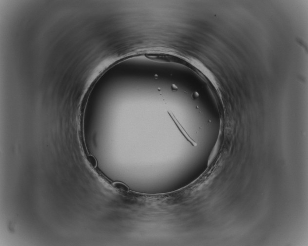 X0000092051005200709121209