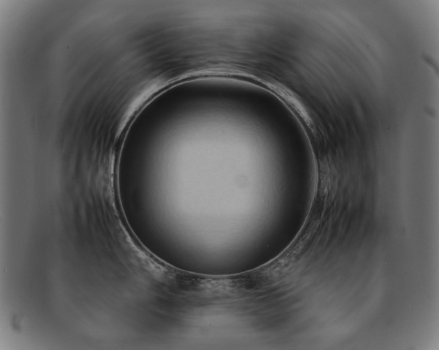 X0000092051006200709121209