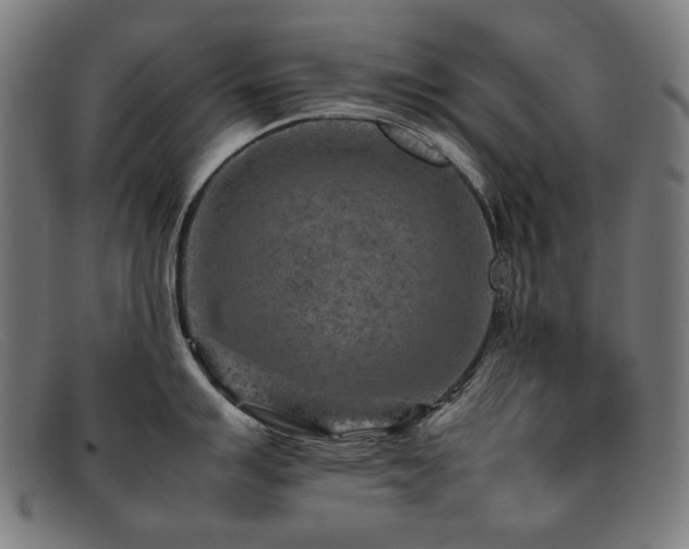 X0000092051007200709121209