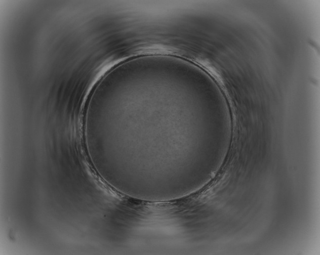 X0000092051008200709121209