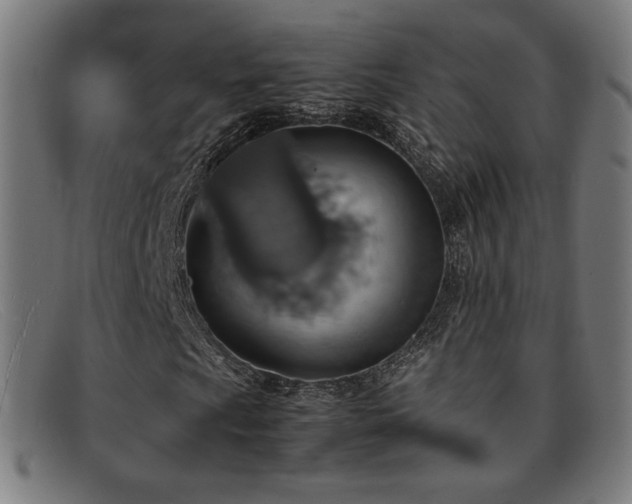 X0000092051009200709121208