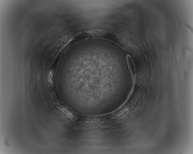 X0000092051010200709121208