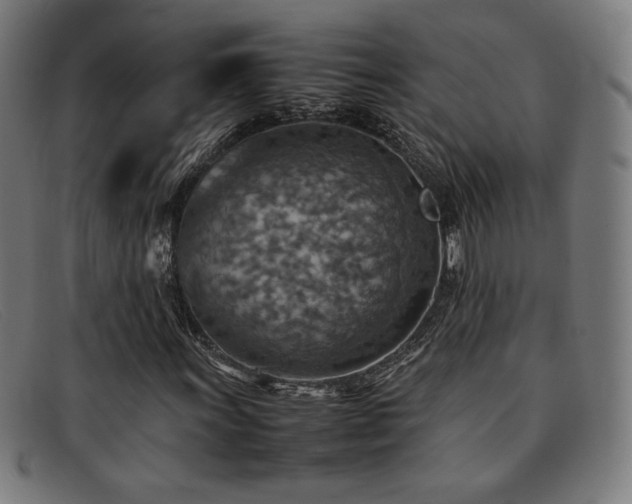 X0000092051011200709121208