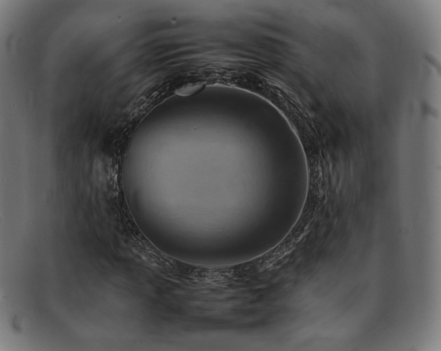 X0000092051013200709121208