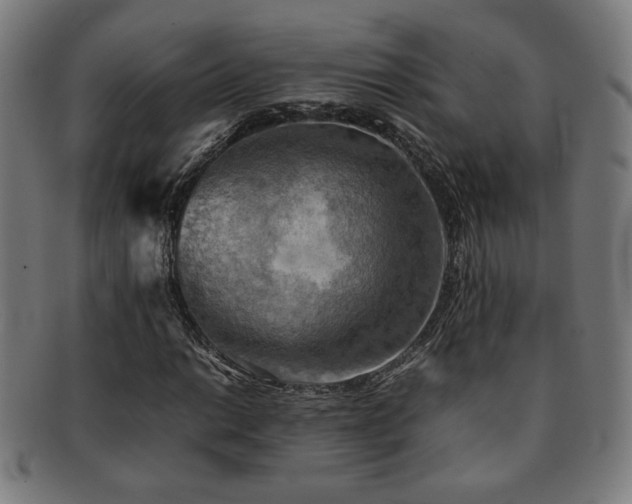 X0000092051014200709121208