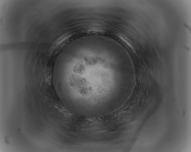 X0000092051015200709121208