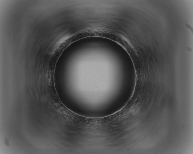 X0000092051016200709121208